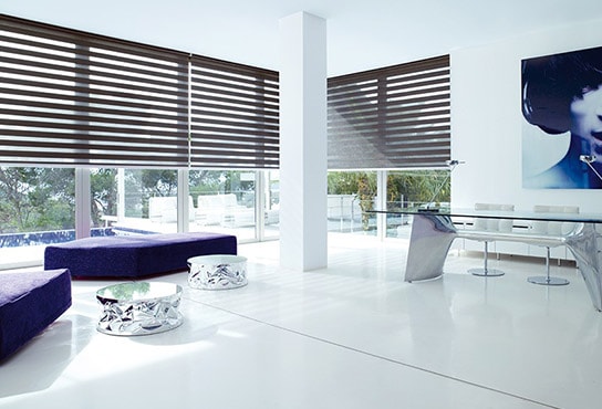 perfect fit MINI day and night blinds - non-invasive